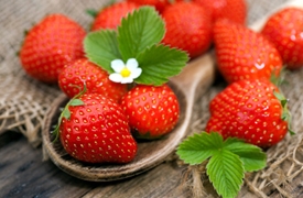 Mai/Juni/Juli frische Erdbeeren